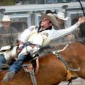 cowboy during a rodeo
