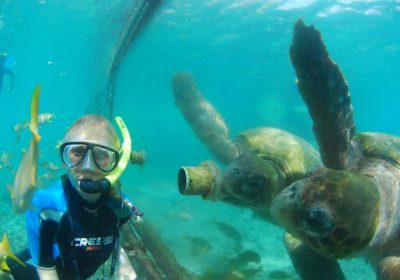 child underwater with turtles