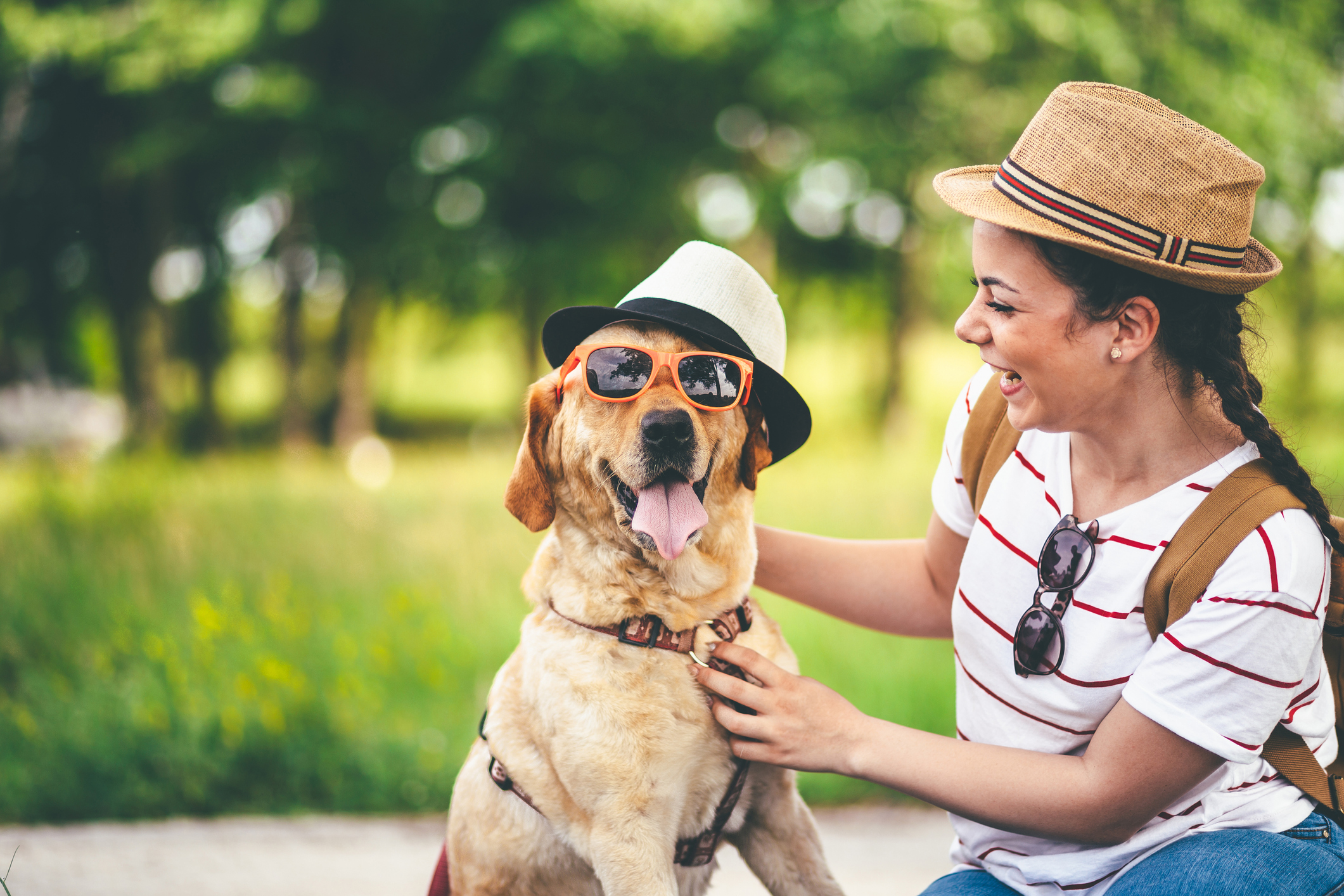Discover How Traveling with Your Pet Can Boost Your Overall Wellbeing |  Mosaic Traveler
